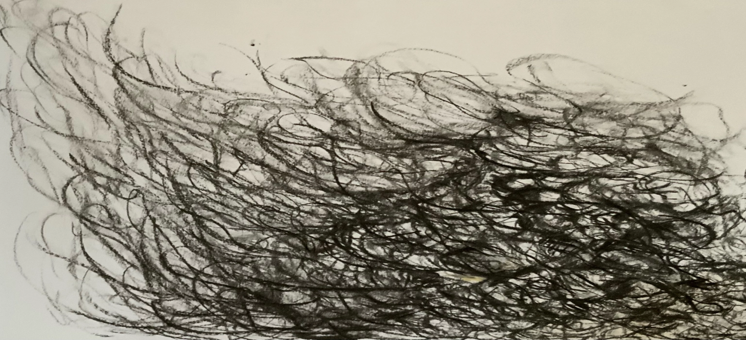 I am you, colour pencil