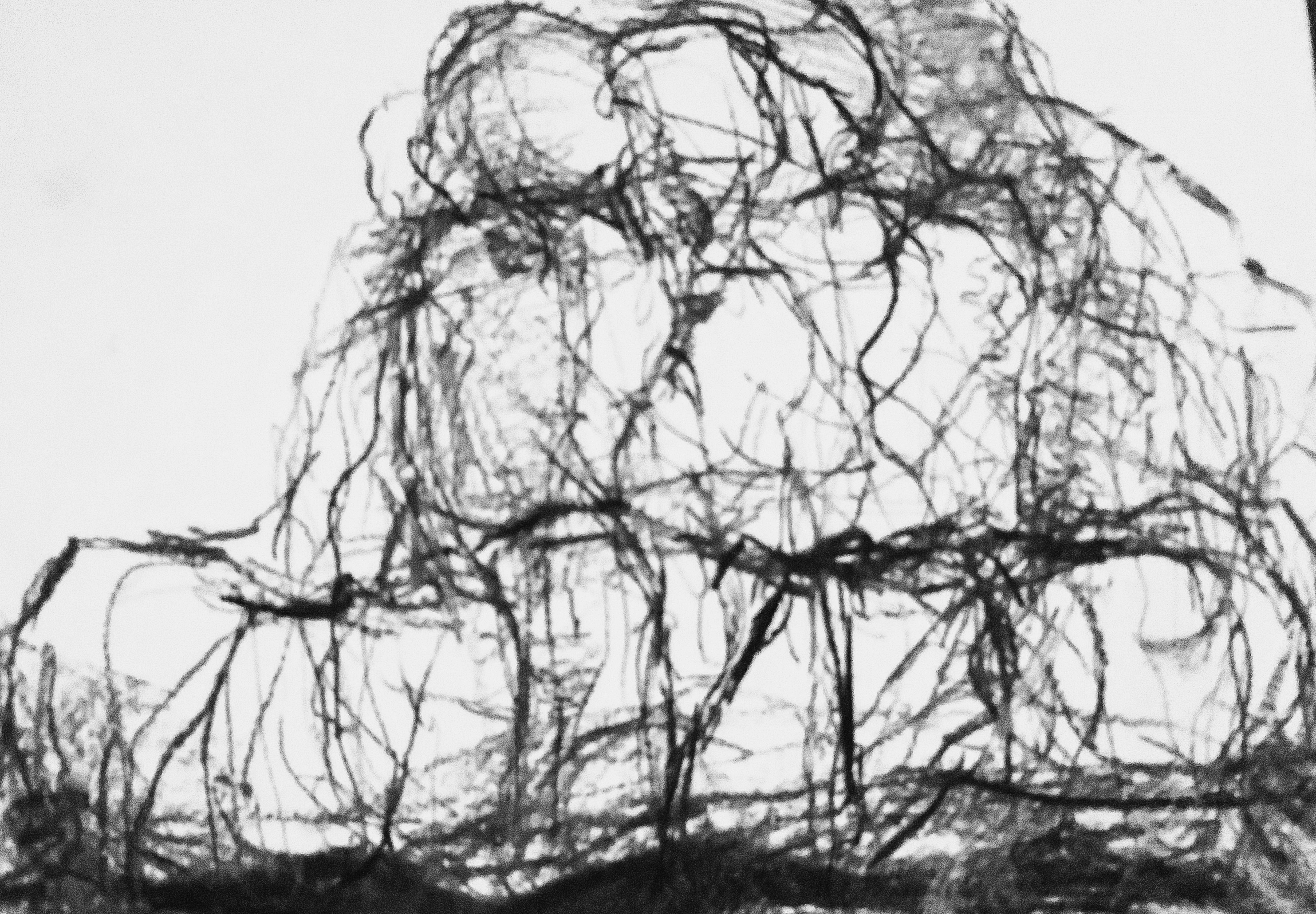 Procession, 2021, charcoal & mixed media